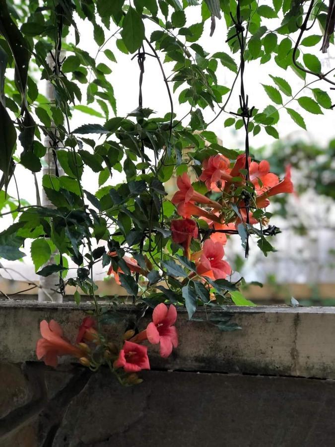 Hidden Hue Homestay Buitenkant foto