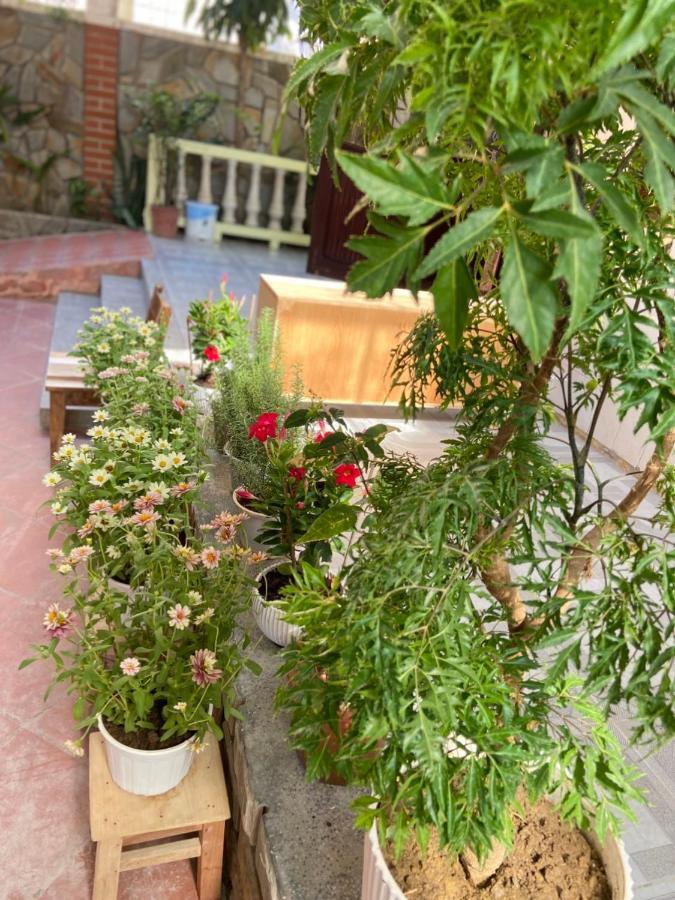 Hidden Hue Homestay Buitenkant foto