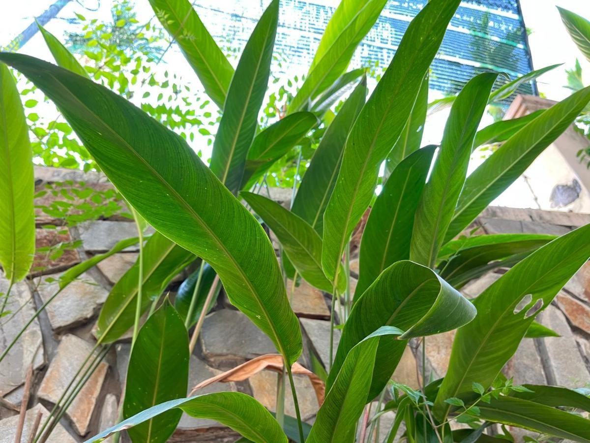 Hidden Hue Homestay Buitenkant foto